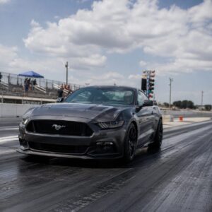 Mustang Modifie 300x300